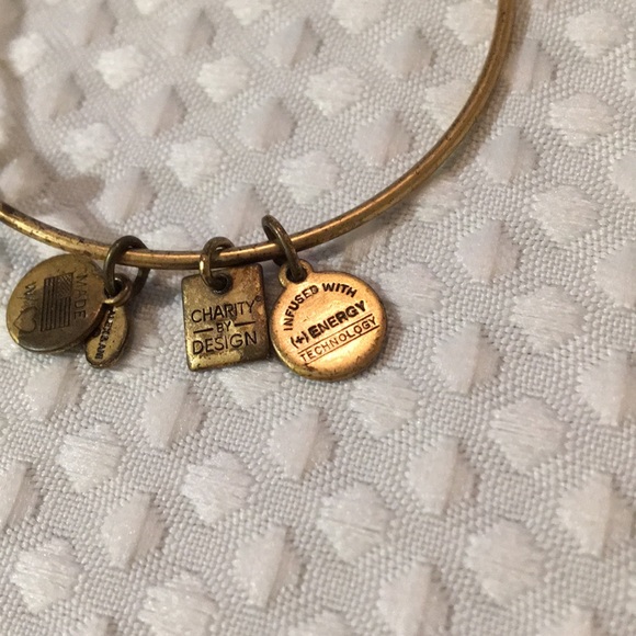👛 Alex and Ani Music Bracelet - Picture 4 of 4